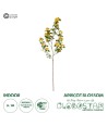 GloboStar® Artificial Garden ORANGE APRICOT BRANCH 21325 Τεχνητό Διακοσμητικό Πορτοκαλί Κλαδί Ροδακινίας Y100cm